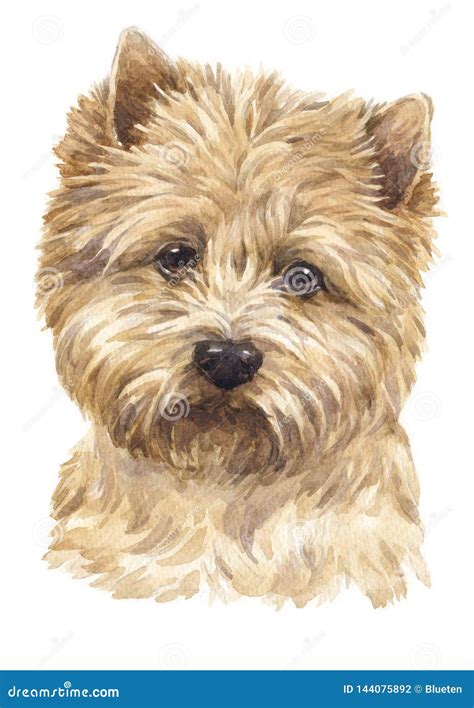 Cairn Terrier Grandma With Silhouette Vector Illustration 149527398