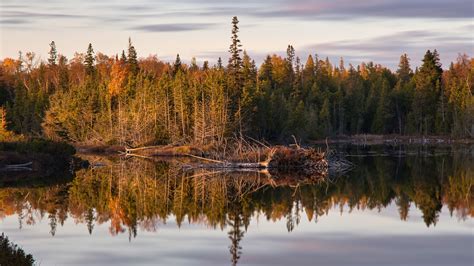 Download Wallpaper 3840x2160 Forest Trees River Reflection Nature