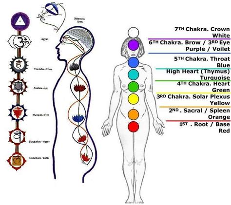 Pictures Of The Human Body Chakras Reflexology And Meridians Chakra Plexus Products Chakra