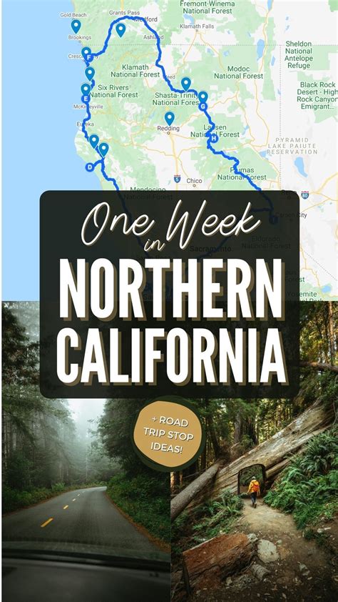 The Best Northern California Road Trip Itinerary 1 Week Route The