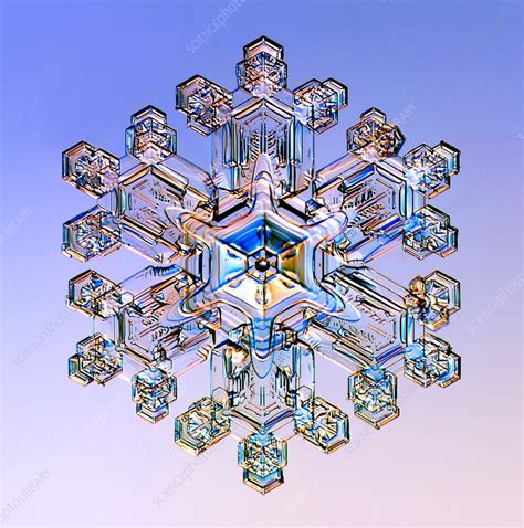 Snowflake Light Micrograph Stock Image C0232404 Science Photo
