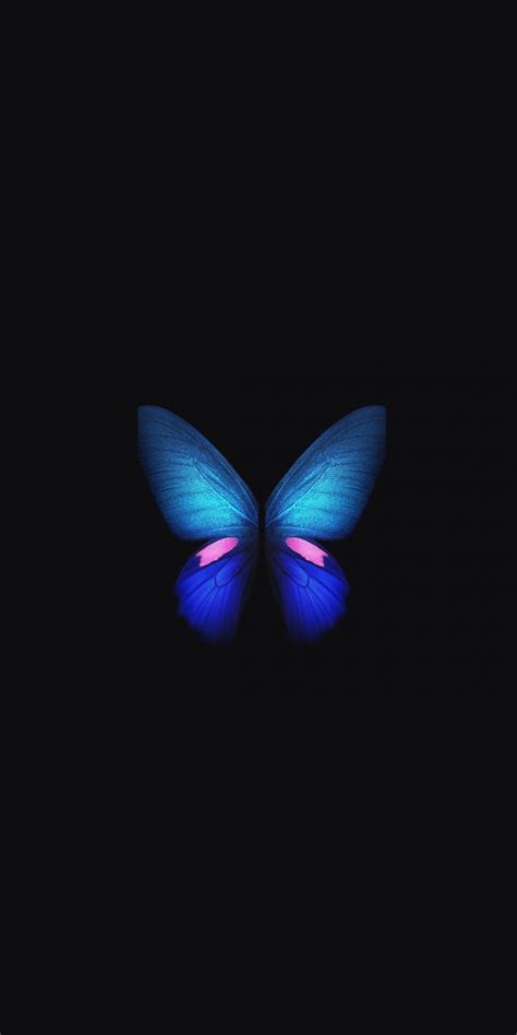 Samsung Galaxy Fold Blue Butterfly Minimal Art 1080x2160 Wallpaper
