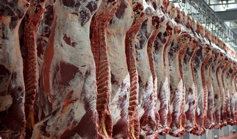 Iran Q Red Meat Production Down Financial Tribune