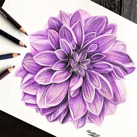 Watercolor Pencil Flowers Step By Step