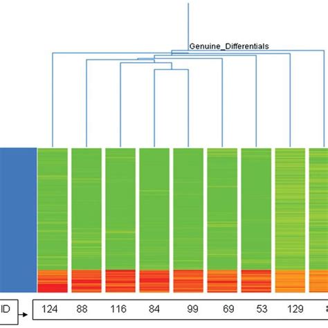 Two Way Unsupervised Hierarchical Clustering Average Linkage