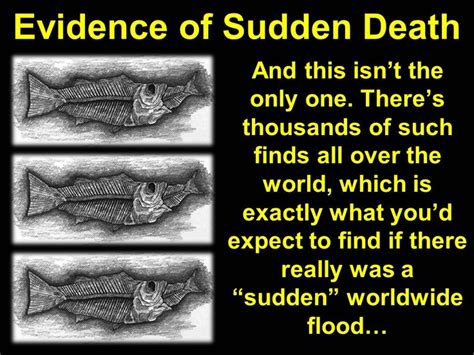 Proof Of The Flood Bible Evidence Apologetics Christian Apologetics