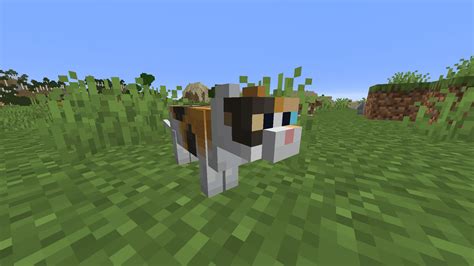 How To Tame A Cat In Minecraft Easy Guide