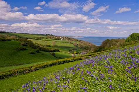 Isle Of Wight Coastal Path Walking Holidays 2024 And 2025