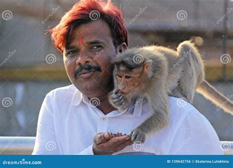 Indian Man Feeds The Hungry Monkeys Next Hawa Mahal Jaipur Rajasthan