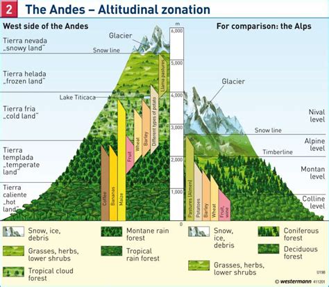 Diercke Weltatlas Kartenansicht The Andes — Altitudinal Zonation