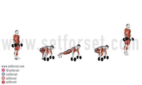 17 Best Total Body Dumbbell Exercises - SET FOR SET