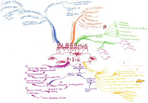 A Example Of Student Mind Map Download Scientific Diagram