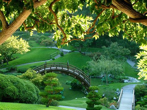 Beautiful Nature Pictures Japanese Green Garden