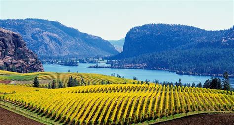 Wineries And Vineyards In British Columbia Destination Bc Official