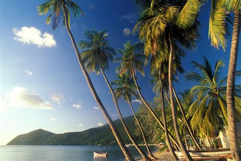 Jun 17, 2021 · travelers to martinique will find the same culturally rich, spectacularly beautiful island, home to lovely little boutique hotels like french coco, the imperatrice and the new diamant les bains. Information about Martinique - Caribbean Tour | Caribbean ...