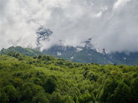High Mountains With Snowy Peaks In Thick Fog And Green Forest In Front