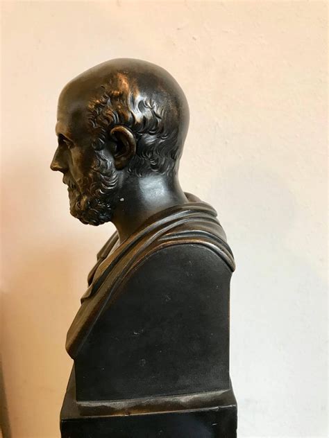 Bronze Bust Of Hippocrates The Father Of Medicine For