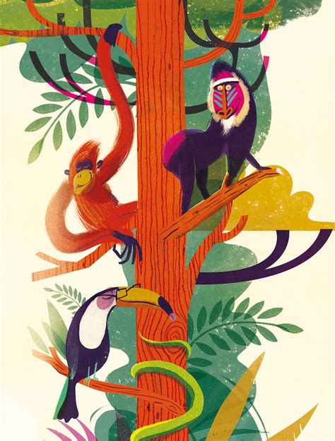 Jungle Illustration On Behance Jungle Illustration Book