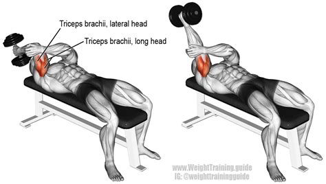 Lying One Arm Dumbbell Triceps Extension Instructions