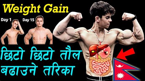 Weight बढाउने तरिका How To Gain Weight Fast For Men How To Increase Weight In Nepali Youtube