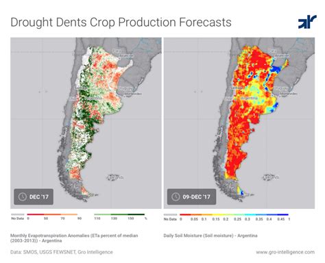Argentine Agriculture Returns To The World Stage