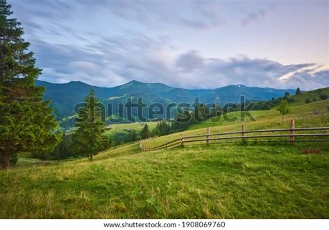 Idyllic Landscape Alps Fresh Green Meadows 庫存照片 立刻編輯 1908069760