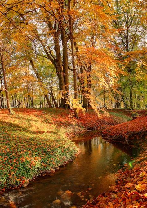 Poznan Poland Park Sołacki Fot A Dorniak Autumn Landscape