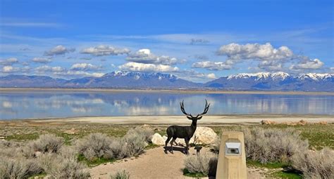 Visit To Antelope Island State Park In The Great Salt Lake Utah