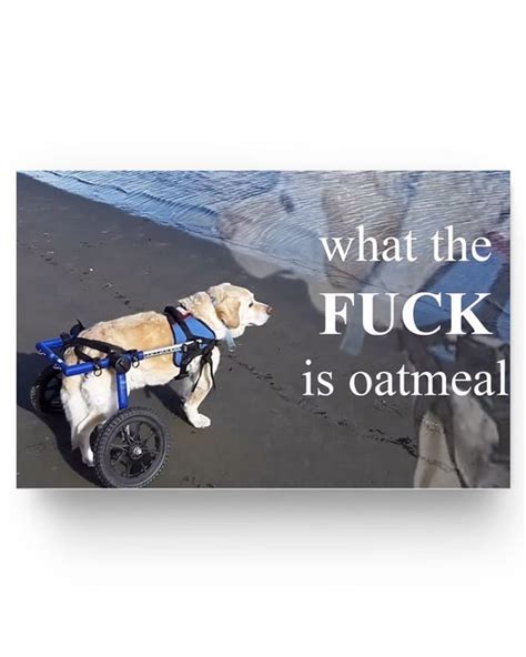 What The Fuck Is Oatmeal Meme Poster Coreprints Wendys4fo4store