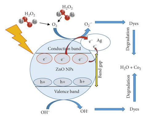The Proposed Photocatalytic Mechanism Of Zno Nanostructures Download