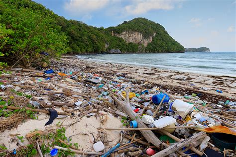 Duh Sampah Sampah Di Laut Dan Di Pantai Penjaga Laut