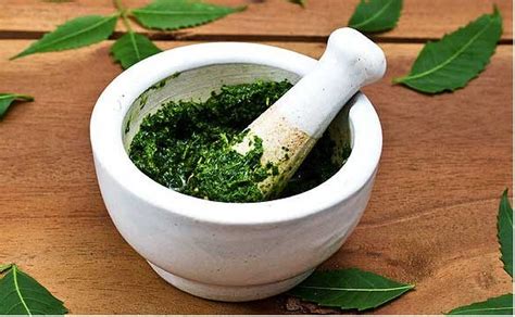 Neem leaves benefits for hair also include imbibing strength in the hair follicles and improving the texture of the hair. Neem Leaves and Powder for Dandruff, Hair Growth and Baldness