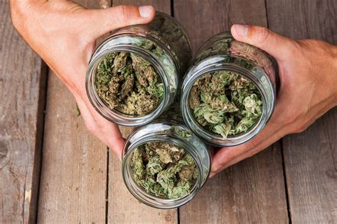 The Best Storage For Cannabis