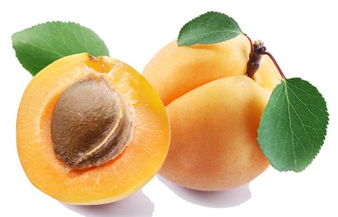 Apricot Png Clipart Png Mart