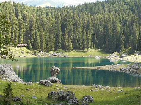 Image Italy Lake Carezza Spruce Nature Forests Stone