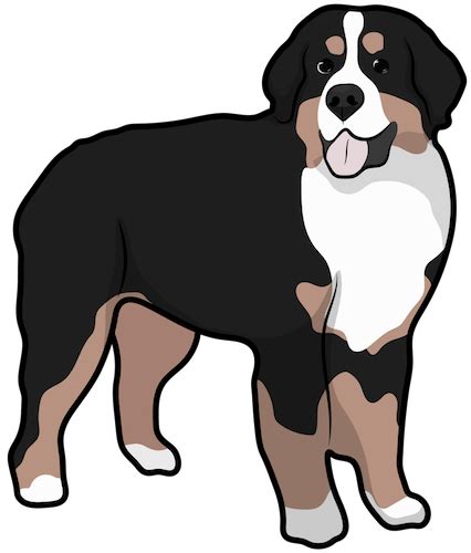 Dog Trivia - Dog Breed Info Center® Trivia Quizzes!