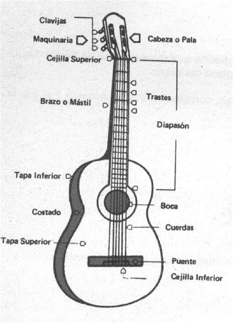 Maybe you would like to learn more about one of these? INSTRUMENTOS CORDÓFONOS