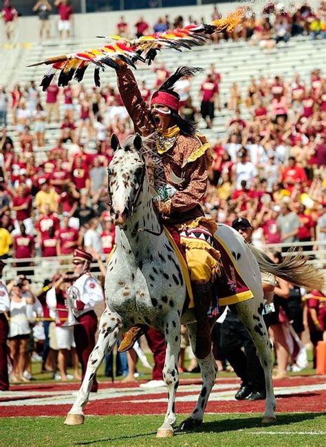 1000 Images About Fsu Fear The Spear On Pinterest Bobby