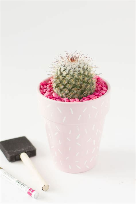 Diy Pink Cactus Planter Diy Sprinkles Cactus Planter Planters