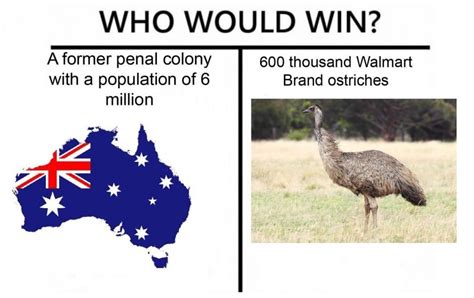And believe it or not, the emus won. The Great Emu War was better than the Vietnam War - Meme ...