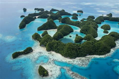 Palau Best Adventure Vacations 2019 Popsugar Smart Living Photo 12
