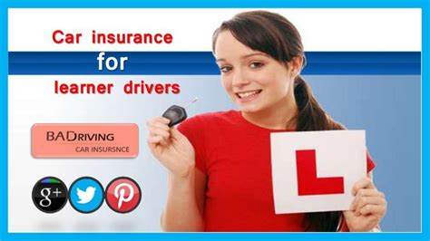 Learner Driver Car Insurance Comparison Car Insurance Comparison Car