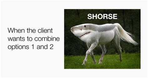 Funny Agency Memes That Designers And Creatives Will