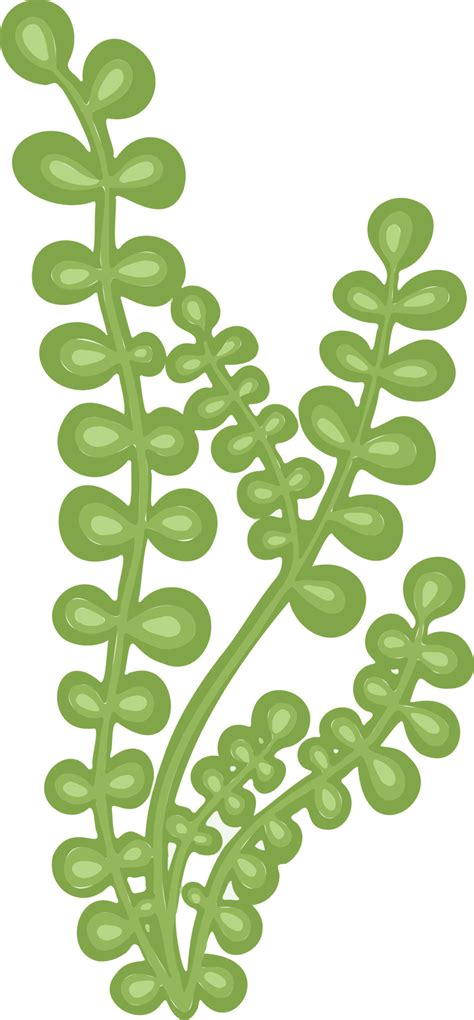 Algae Green Plant Freehand Drawing Vector Cartoon Style 9099221 Vector