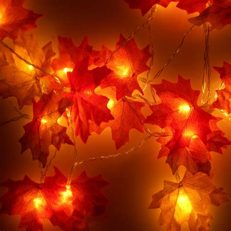 Autumn Fairy Lights String Lights Autumn By Autumnweddings