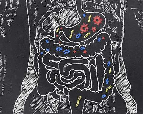 Pre Clinical Study Suggests Parkinsons Could Start In Gut Endocrine