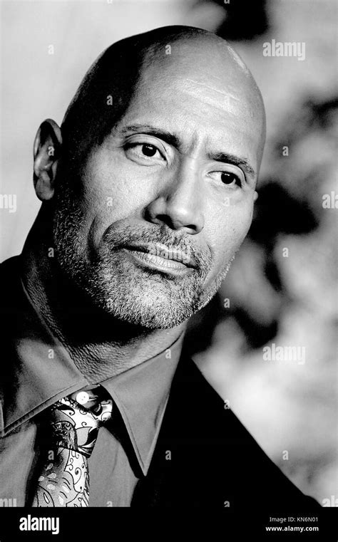 Dwayne Johnson Black And White Stock Photos And Images Alamy
