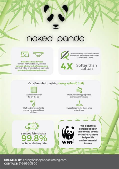 Naked Panda Promoshin Animated Explainer Video Production