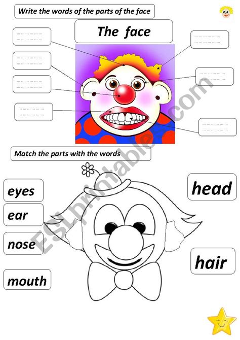 The Parts Of The Face Esl Worksheet By Aidamour