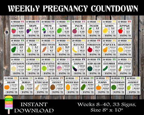 Pregnancy Calendar Week 8 Calendar Printables Free Templates